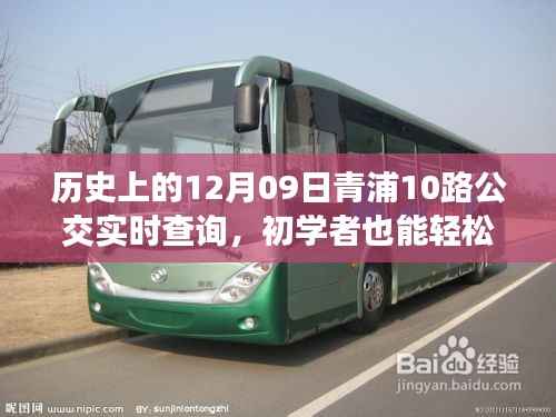历史上的12月09日青浦10路公交实时查询指南,初学者操作详解及步骤概览