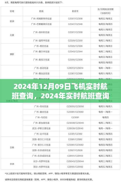 深度解析航班查询系统，实时航班查询的发展与便利