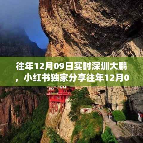 独家分享，深圳大鹏与大自然的邂逅之旅——往年12月09日的实时记录🌅