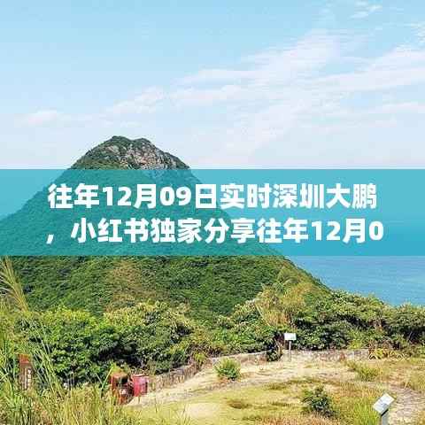 独家分享,深圳大鹏与大自然的邂逅之旅——往年12月09日的实时记录🌅