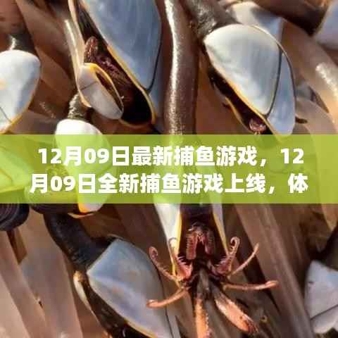 12月09日全新捕鱼游戏上线,深海猎奇体验