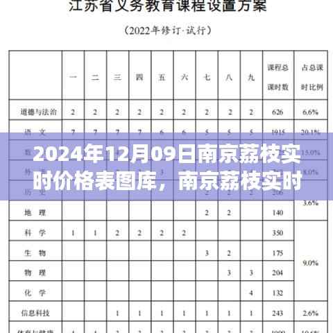 南京荔枝实时价格表图库,市场趋势观察与深度思考(2024年12月09日)