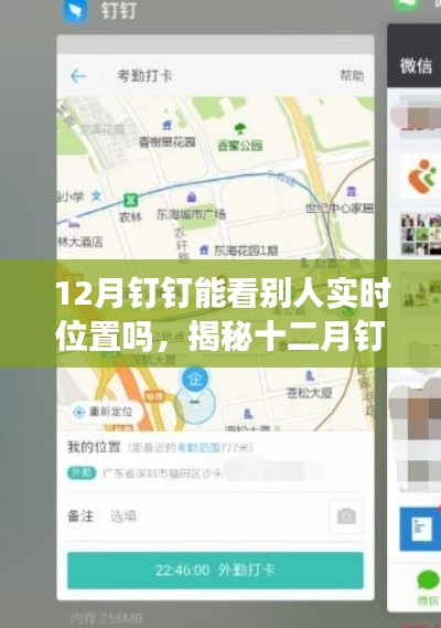 揭秘,十二月钉钉能否查看他人实时位置?