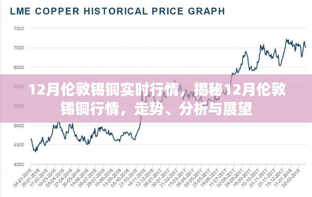 揭秘伦敦锡铜行情,走势分析、展望与实时行情动态(十二月版)