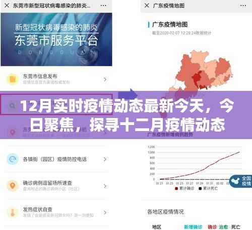 今日聚焦,探寻十二月疫情动态的新篇章,实时疫情动态更新报告