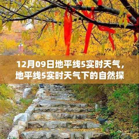 地平线5实时天气下的自然探索之旅,心灵宁静与乐趣的追寻