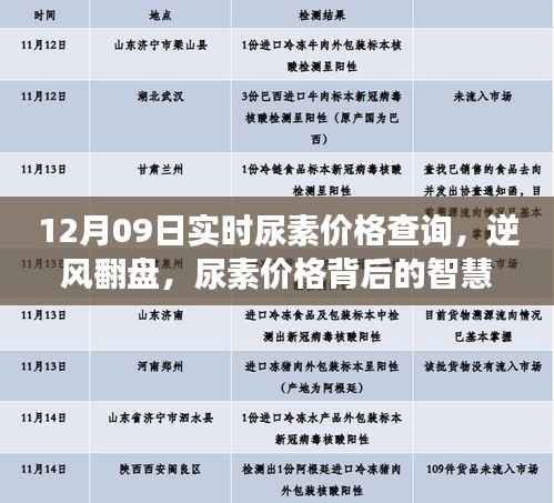 逆风翻盘,尿素价格背后的智慧与勇气,实时查询与学习变化之旅