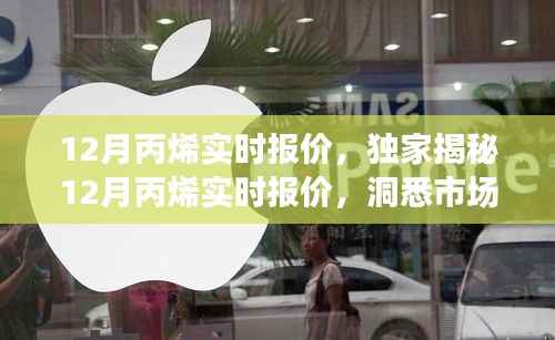 独家揭秘,12月丙烯市场实时报价与行业趋势分析