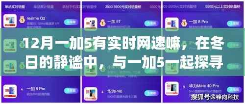 虫蚀鸟步 第2页