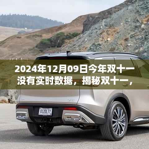 揭秘,为何今年双十一(2024年)没有实时数据呈现?