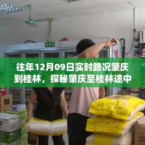 肇庆至桂林路途美食奇遇，探寻小巷深处的特色小店与实时路况探秘