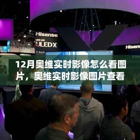 奥维实时影像新功能深度解读，图片查看功能全面评测与指南