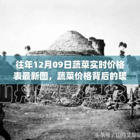 暖心蔬菜情缘，揭秘蔬菜价格背后的故事——最新蔬菜实时价格表及蔬菜情缘纪实（12月9日）