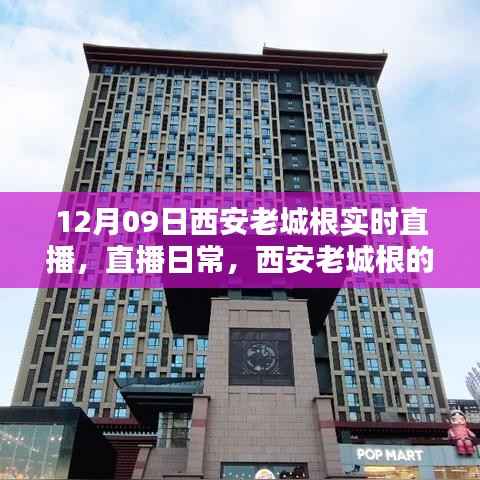 12月09日西安老城根实时直播,记录温暖时光