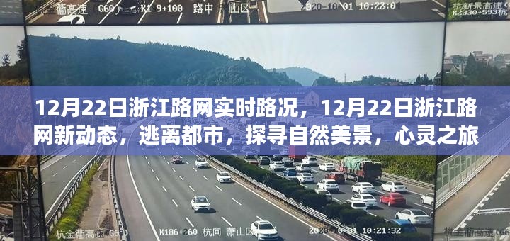浙江路网实时路况更新,心灵之旅启程,探寻自然美景新动态