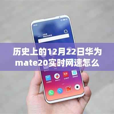 杳无音讯 第2页