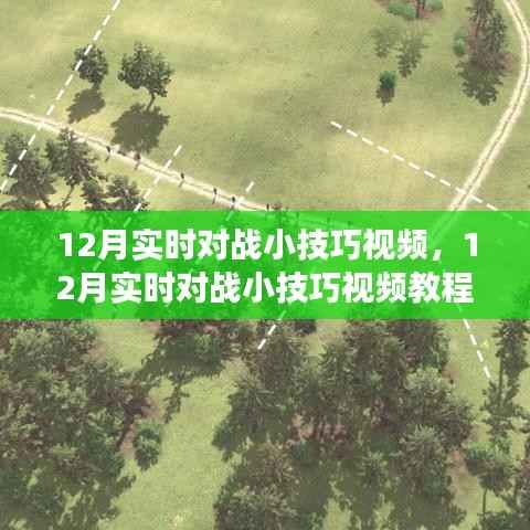 从零开始掌握实战技巧，12月实时对战小技巧视频教程