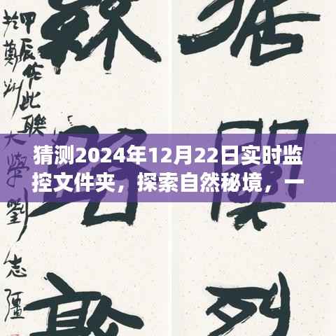 探索自然秘境的心灵之旅，猜想与启示——2024年12月22日文件夹内的风景探索