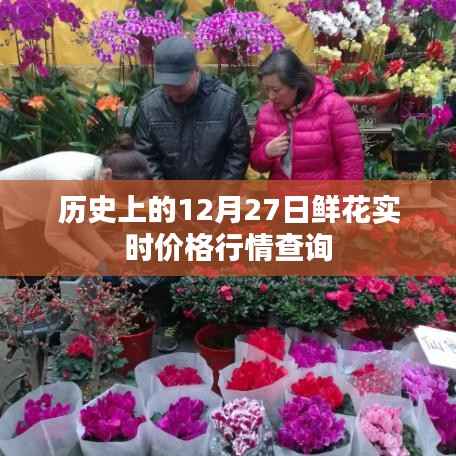 12月27日历史鲜花价格行情实时查询