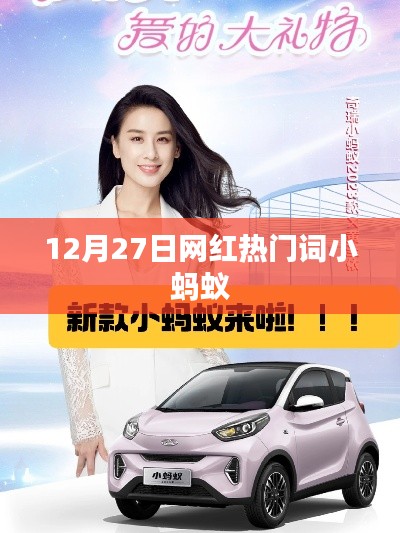 网红小蚂蚁，热门词汇背后的故事