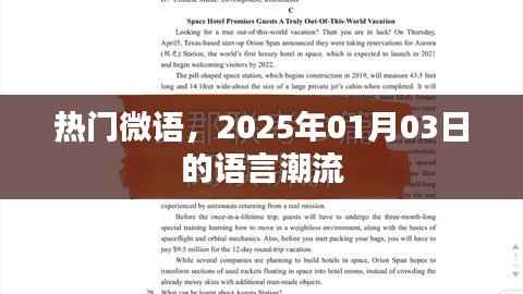 热门微语,语言潮流风向标 2025年1月3日
