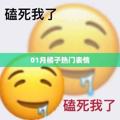 橘子表情一月大热风潮