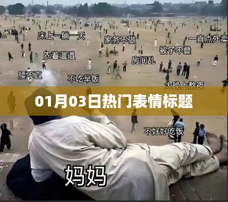 精选表情大赏,最新热门表情标题揭晓