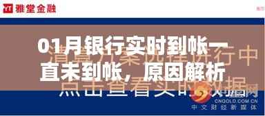 银行实时到账未达账原因解析及应对方案