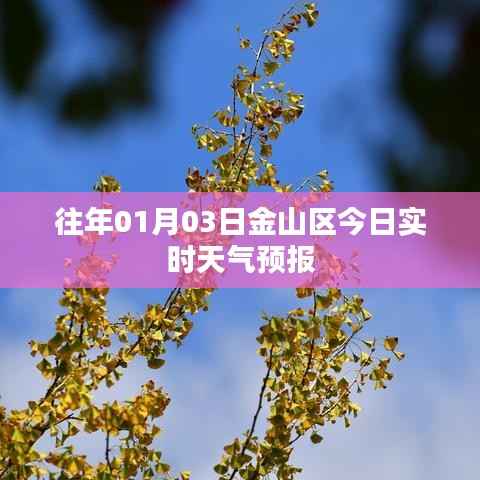 骨瘦如柴 第2页