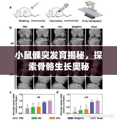 引锥刺股 第2页