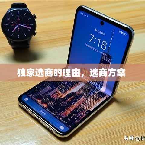 恋恋不舍 第2页