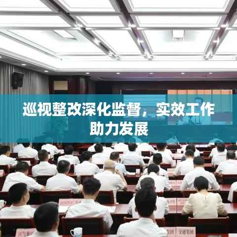 巡视整改深化监督,实效工作助力发展