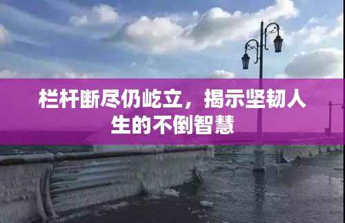 企业优势 第258页