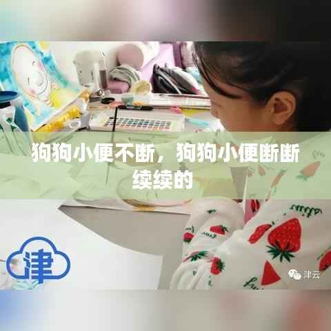 狗狗小便不断,狗狗小便断断续续的