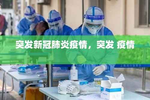突发新冠肺炎疫情,突发 疫情