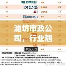 潍坊市政公司,行业翘楚,全国排名领先