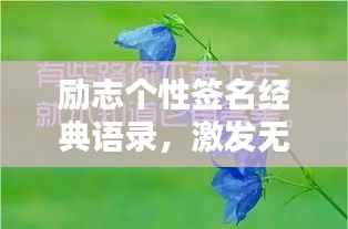 励志个性签名经典语录,激发无限潜能的力量语句