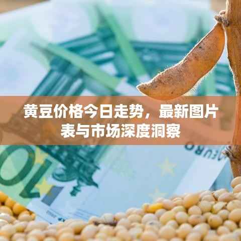 黄豆价格今日走势,最新图片表与市场深度洞察
