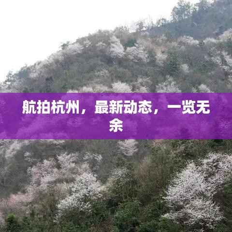 一石二鸟 第2页