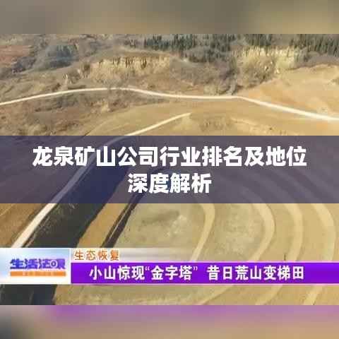 龙泉矿山公司行业排名及地位深度解析