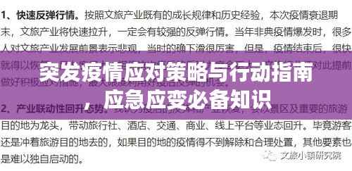 突发疫情应对策略与行动指南,应急应变必备知识