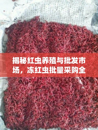 开源节流 第2页