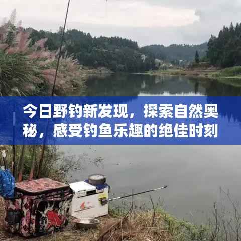 今日野钓新发现,探索自然奥秘,感受钓鱼乐趣的绝佳时刻!