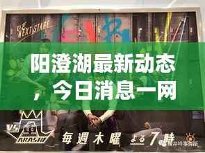 关于我们 第183页