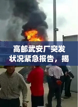 高邮武安厂突发状况紧急报告,揭秘事件真相!
