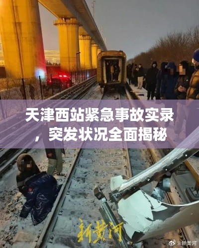 沉厚寡言 第2页