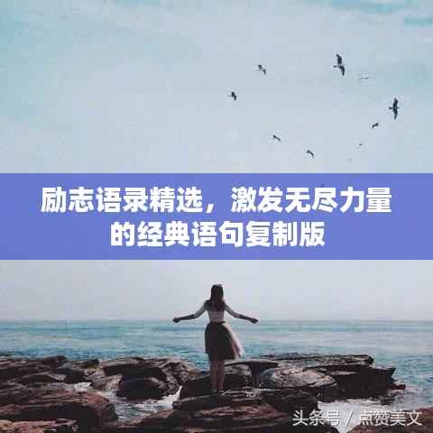 励志语录精选,激发无尽力量的经典语句复制版