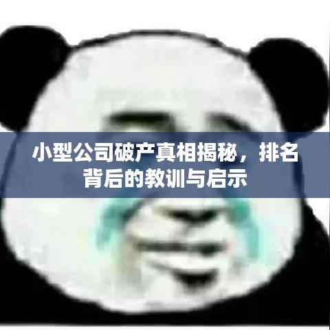 小型公司破产真相揭秘,排名背后的教训与启示