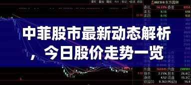 中菲股市最新动态解析,今日股价走势一览