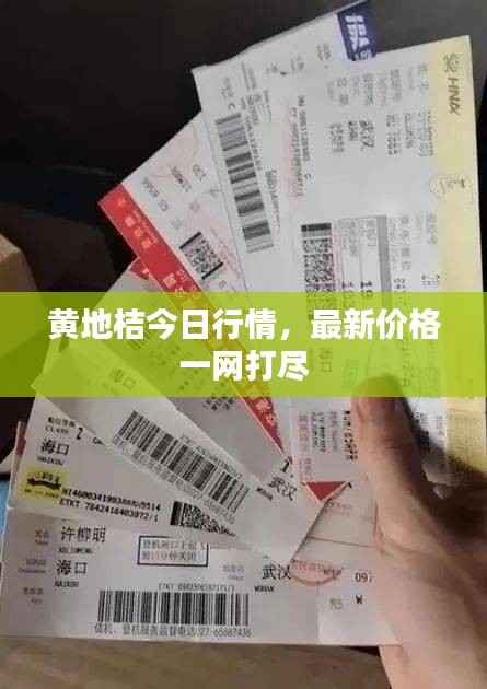 黄地桔今日行情,最新价格一网打尽